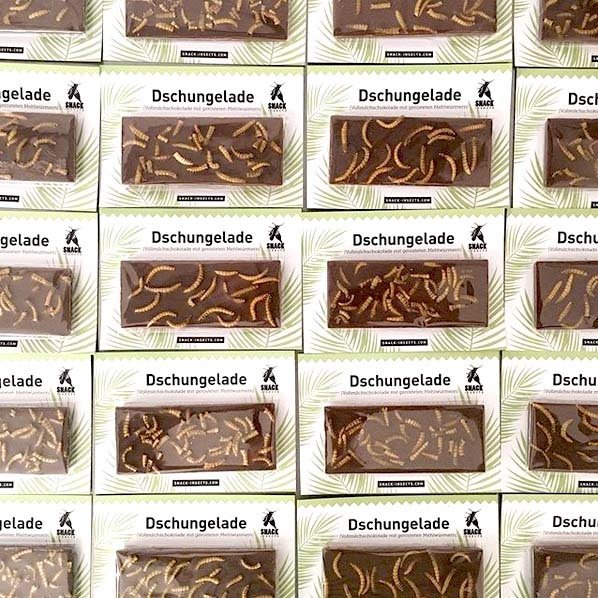 Dschungelade - Insektenschokolade mit gerösteten Mehlwürmern - Snack-Insects Blog