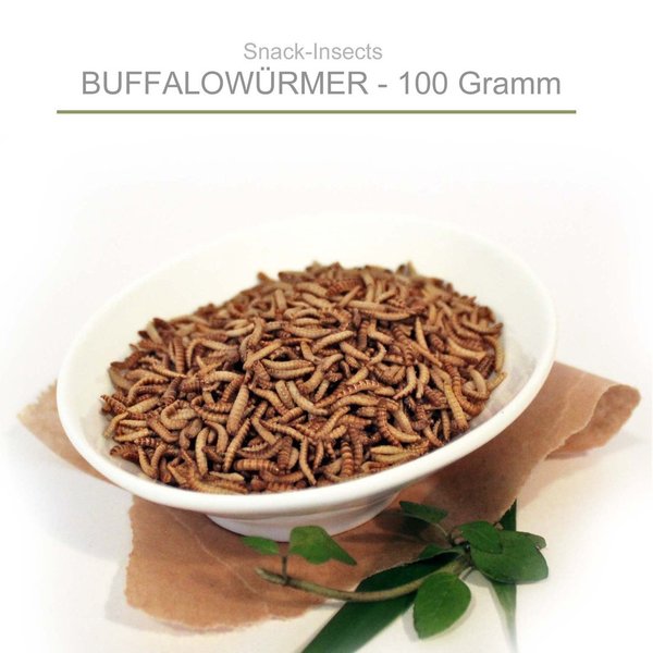 Snack-Insects BUFFALOWÜRMER - 100g Pack Insekten zum Kochen ►