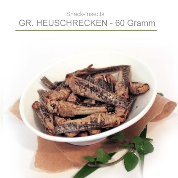 Snack-Insects HEUSCHRECKEN - 60g Pack Insekten zum Kochen ►