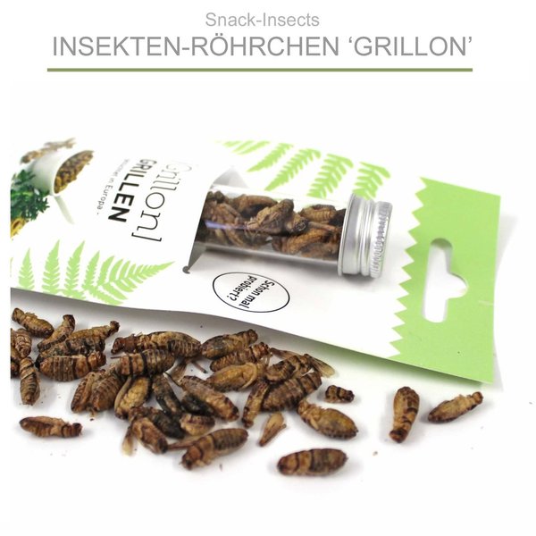 Snack-Insects 'GRILLON' - Insekten-Röhrchen mit Grillen  ►