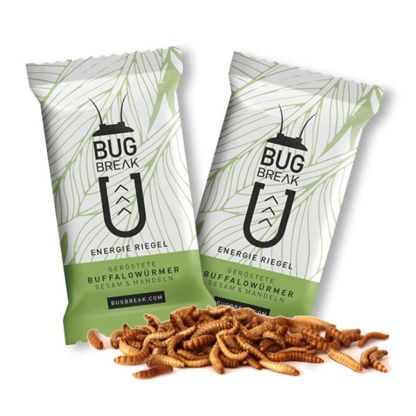 Insektenriegel Bug-Break im Snack-Insects Shop online bestellen & kaufen