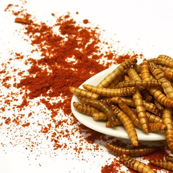 Gewürzte Mehlwürmer als Snack - Snack-Insects Blog