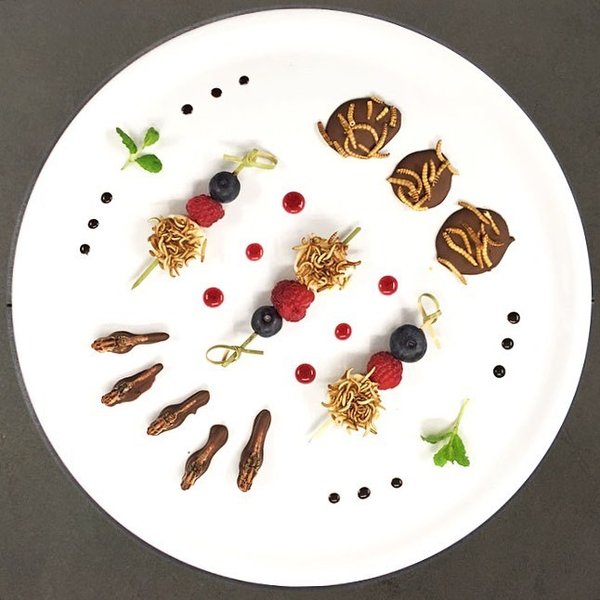 Insekten Dessert mit Schoko-Heuschrecken & karamelisierten Mehlwürmern - Snack-Insects Blog