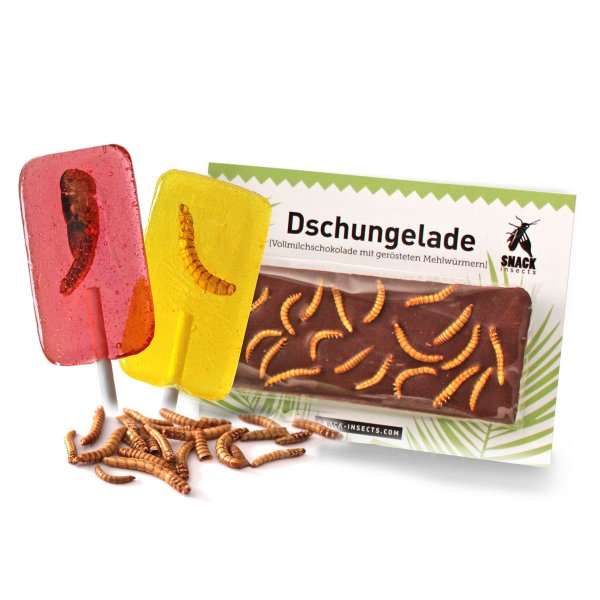 Insekten-Lutscher und Insekten-Schokolade im Snack-Insects Shop online bestellen & kaufen