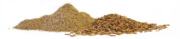 Insektenmehl aus Grillen & Buffalowürmern - hier Protein Mehl aus Insekten kaufen