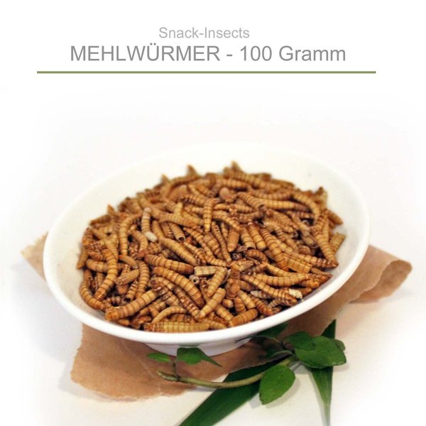 Snack-Insects MEHLWÜRMER - 100g Pack Insekten zum Kochen ►