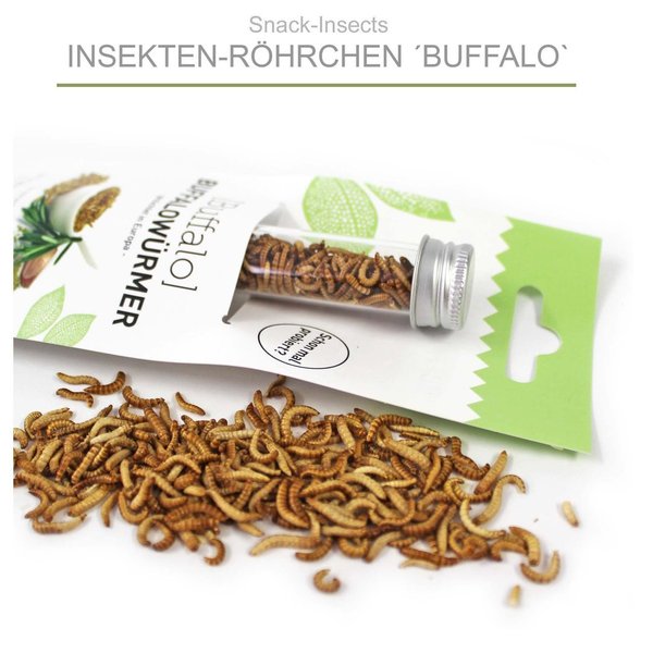 Snack-Insects 'BUFFALO' - Insekten-Röhrchen mit Buffalowürmern ►
