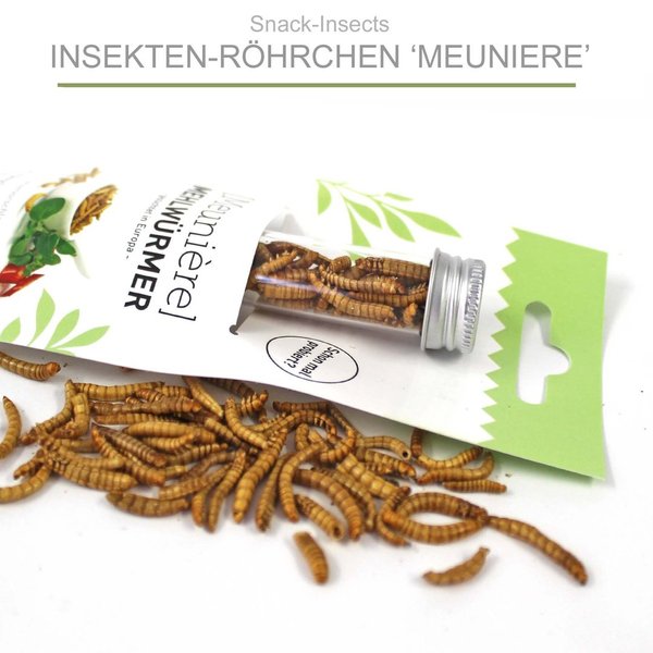 Snack-Insects 'MEUNIERE' - Insekten-Röhrchen mit Mehlwürmern ►