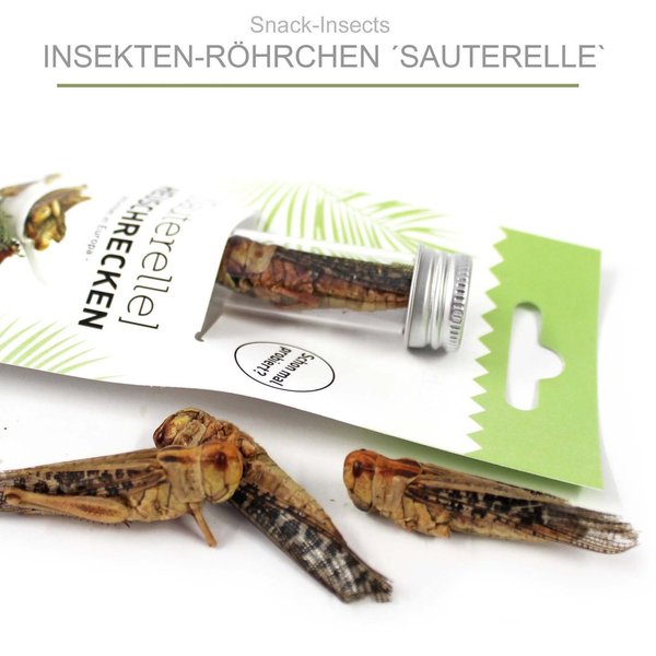 Snack-Insects 'SAUTERELLE' - Insekten-Röhrchen mit Heuschrecken  ►