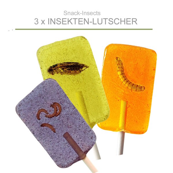 Snack-Insects INSEKTENLUTSCHER Grille & Wurm & Buffalo ►